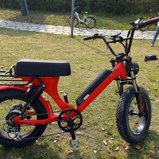 Scooter électrique 500W haute puissance Smart 10''e